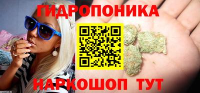 ECSTASY Волжск